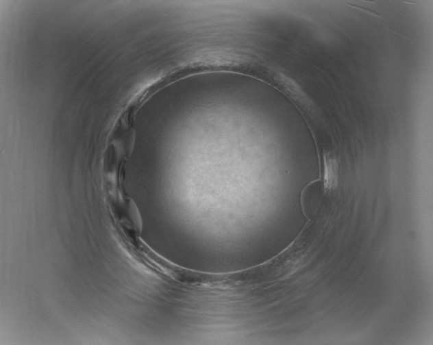 X0000053080627200507251526