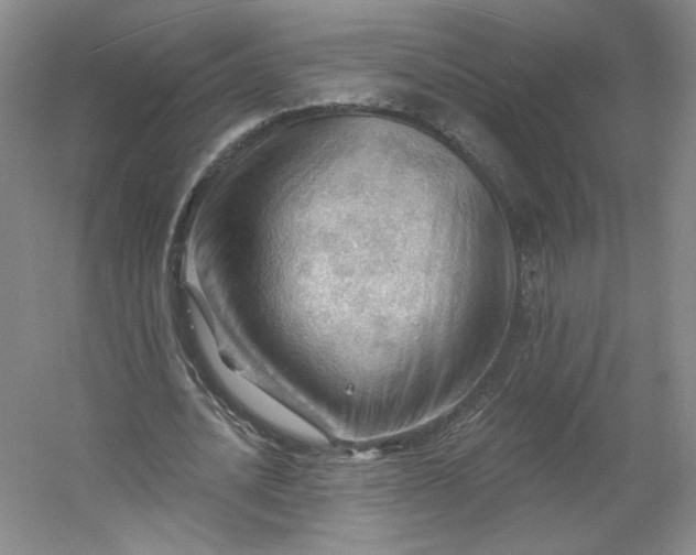 X0000053080628200507251526