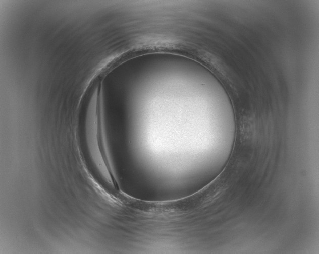 X0000053080629200507251526