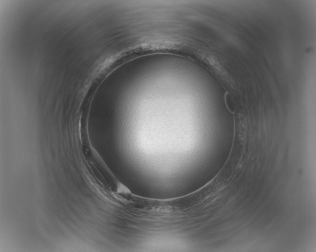 X0000053080631200507251527