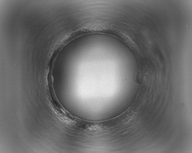 X0000053080635200507251527