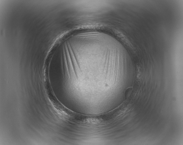X0000053080636200507251527