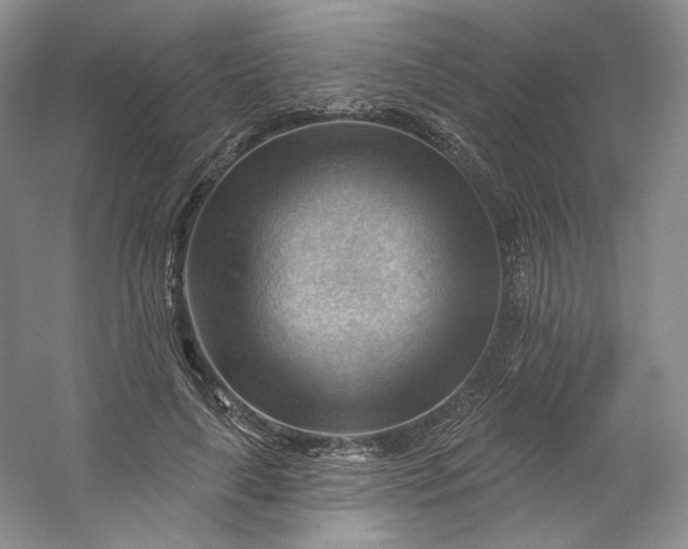 X0000053080643200507251527