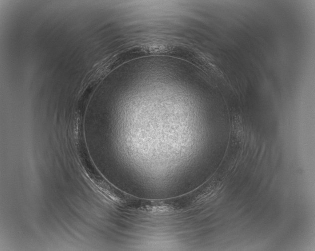 X0000053080645200507251527