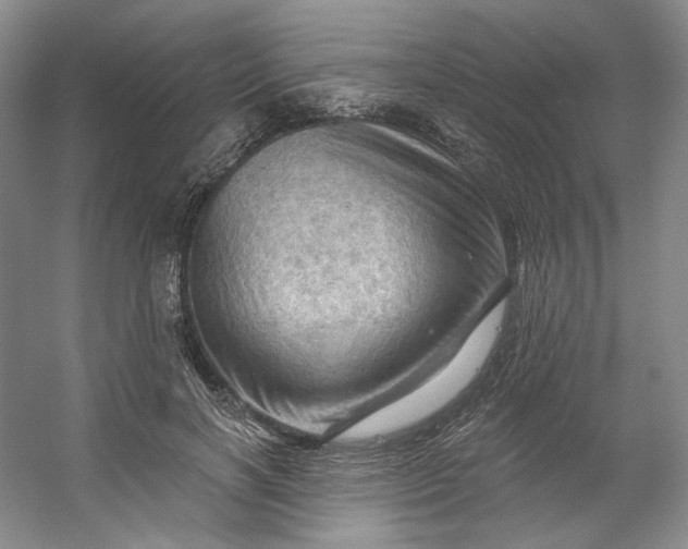 X0000053080646200507251527