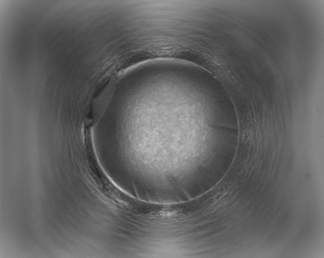 X0000053080647200507251527
