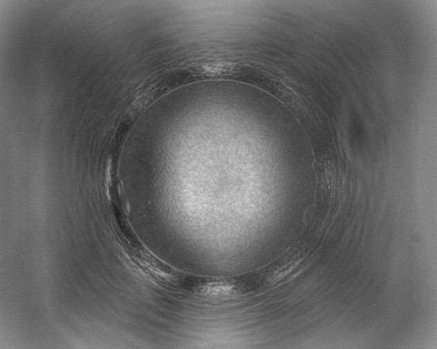 X0000053080651200507251527