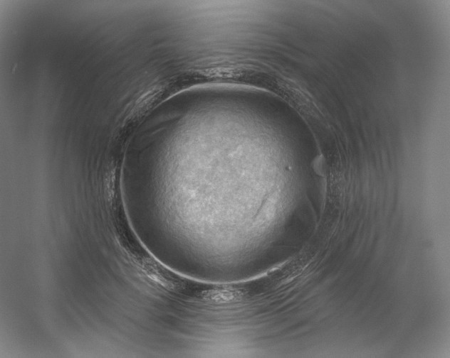 X0000053080652200507251527