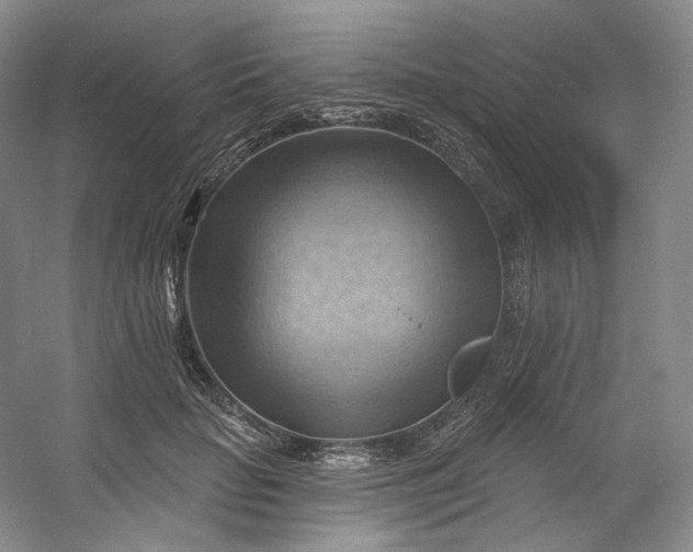 X0000053080653200507251527