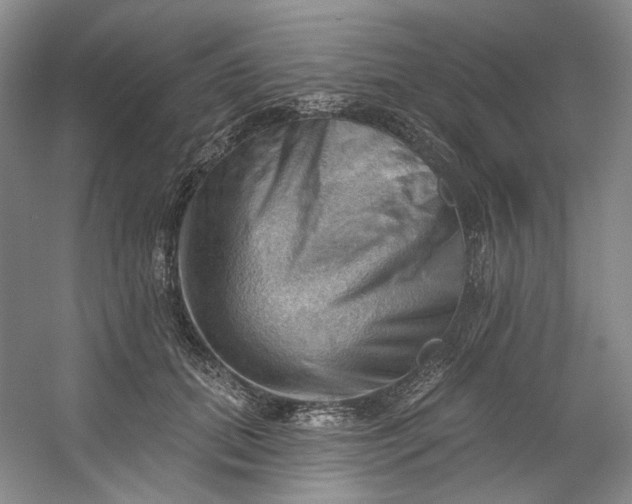 X0000053080655200507251527