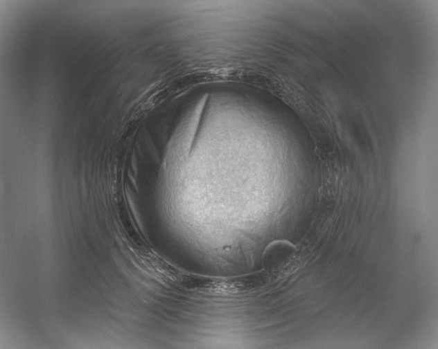 X0000053080656200507251527