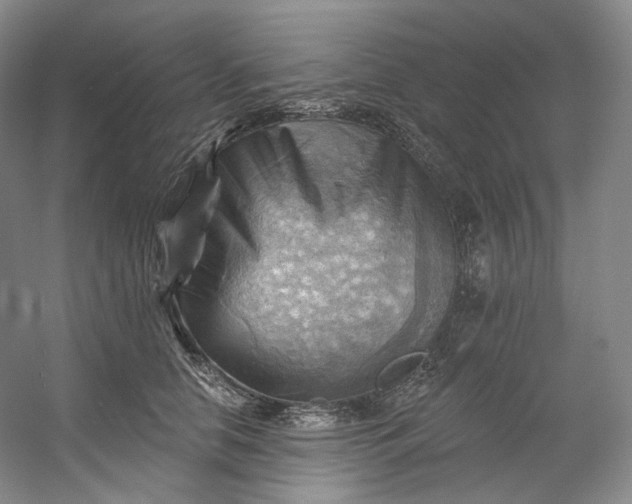 X0000053080658200507251527