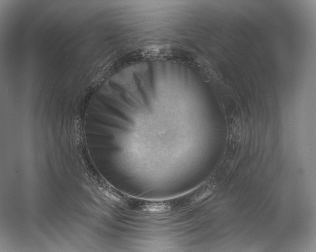 X0000053080659200507251527