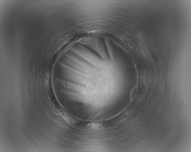 X0000053080660200507251527