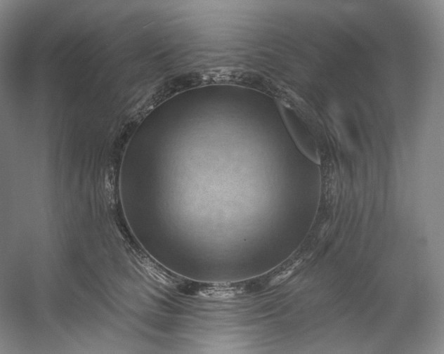 X0000053080661200507251527