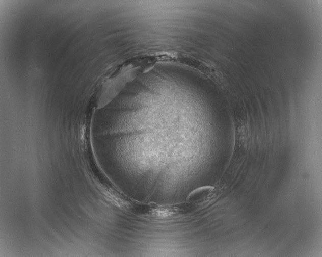 X0000053080662200507251527