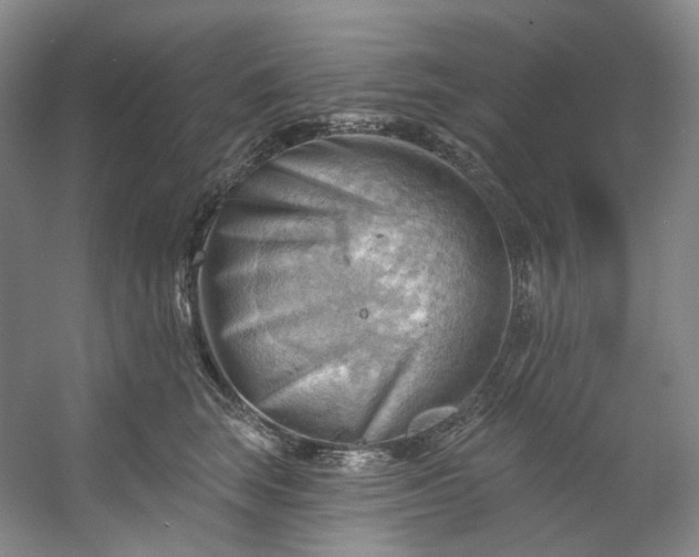 X0000053080663200507251527