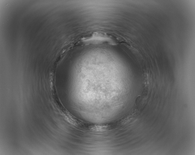 X0000053080664200507251527