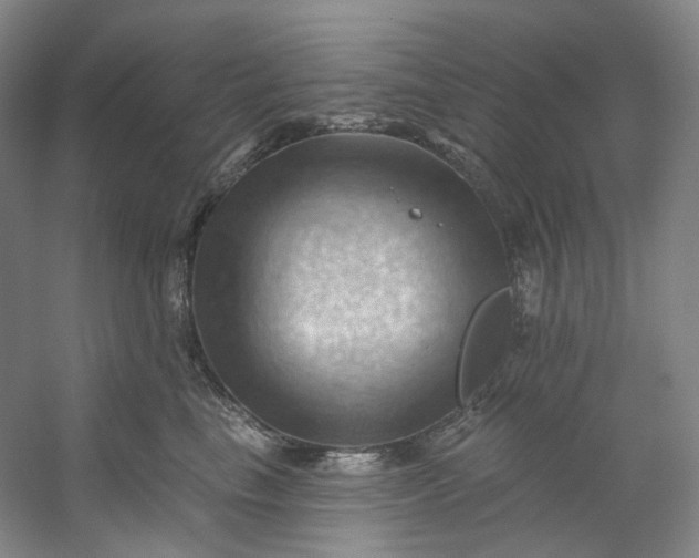 X0000053080665200507251527