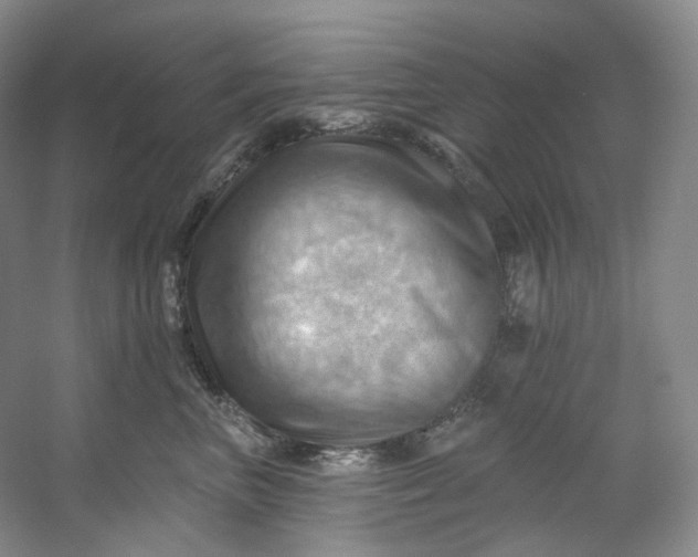 X0000053080667200507251527