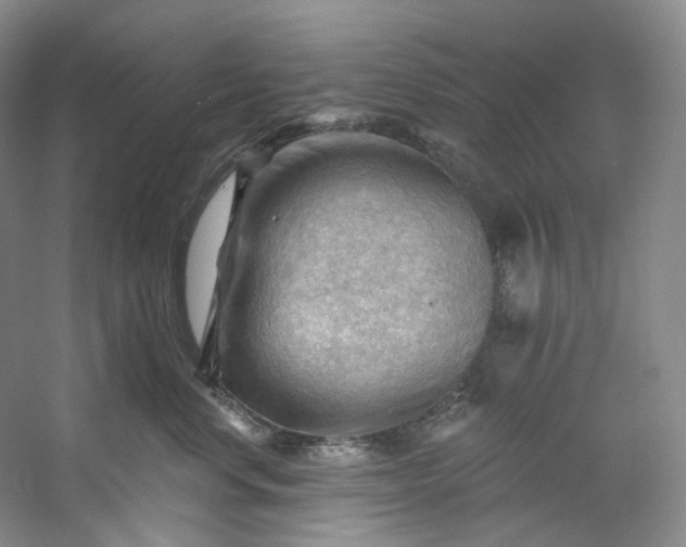 X0000053080668200507251527