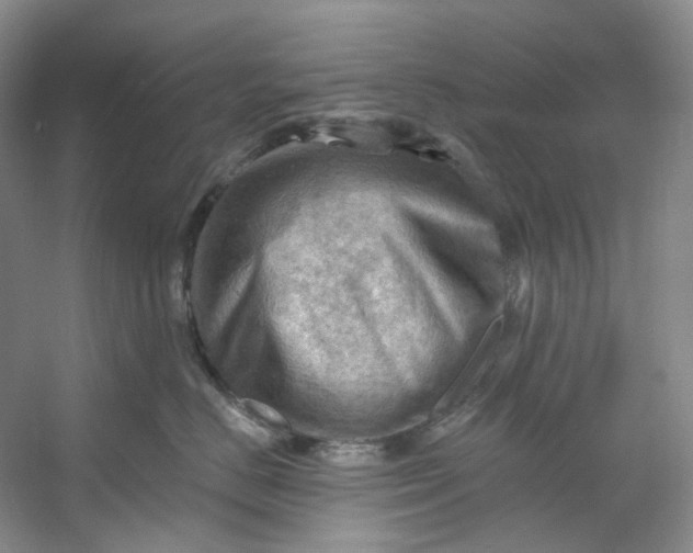 X0000053080670200507251527