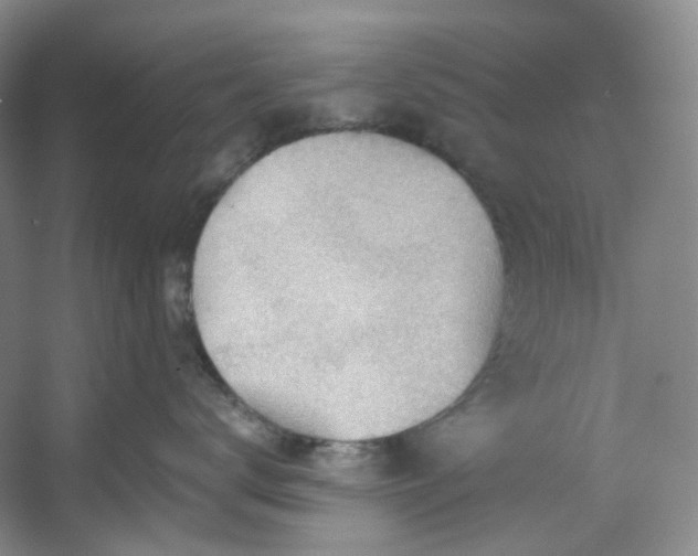 X0000053080672200507251527