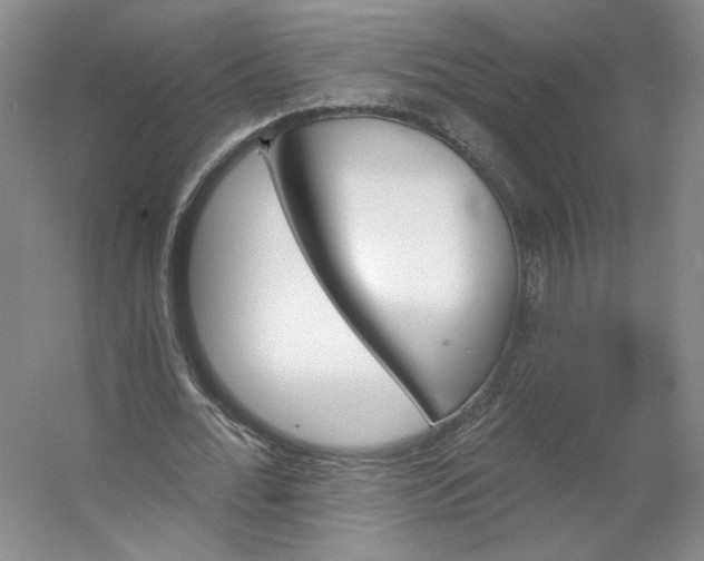 X0000053080676200507251526
