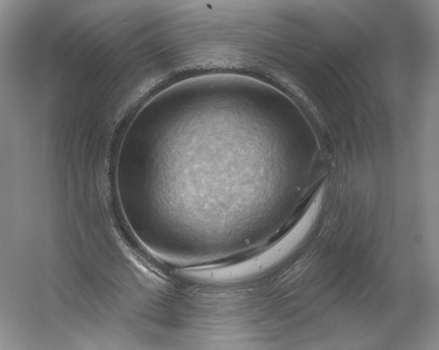 X0000053080677200507251526