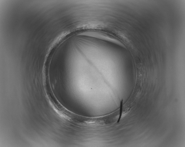 X0000053080678200507251526