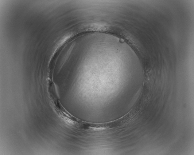 X0000053080679200507251526