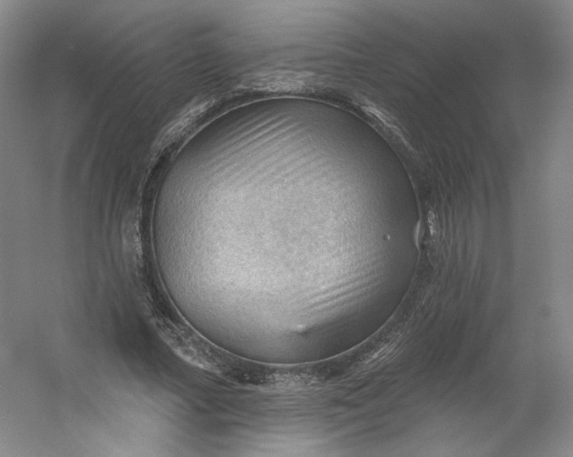 X0000053080682200507251526