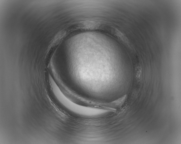 X0000053080685200507251526