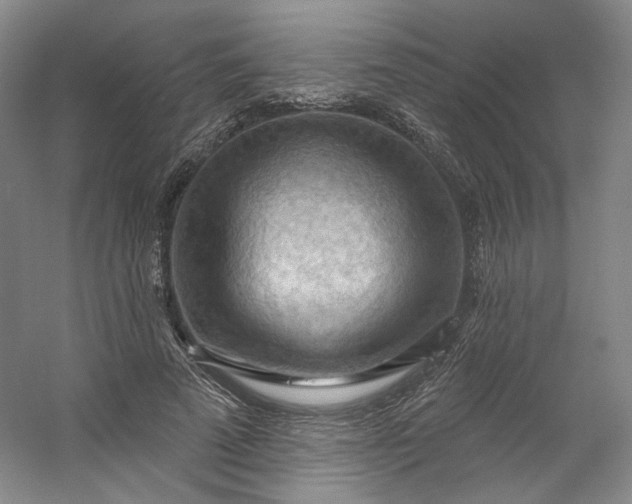 X0000053080689200507251526