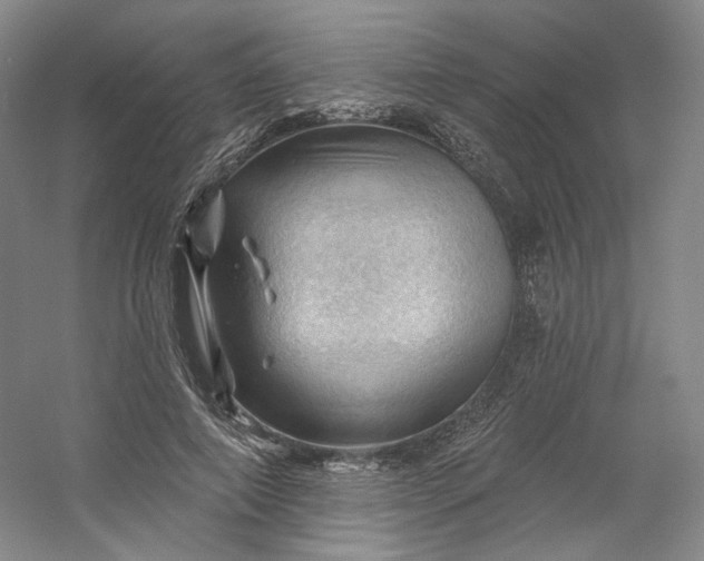 X0000053080690200507251526