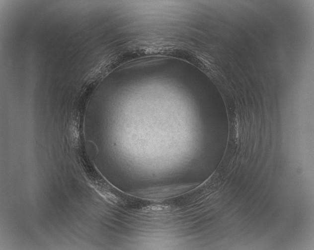 X0000053080691200507251526
