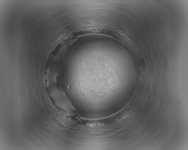 X0000053080693200507251526