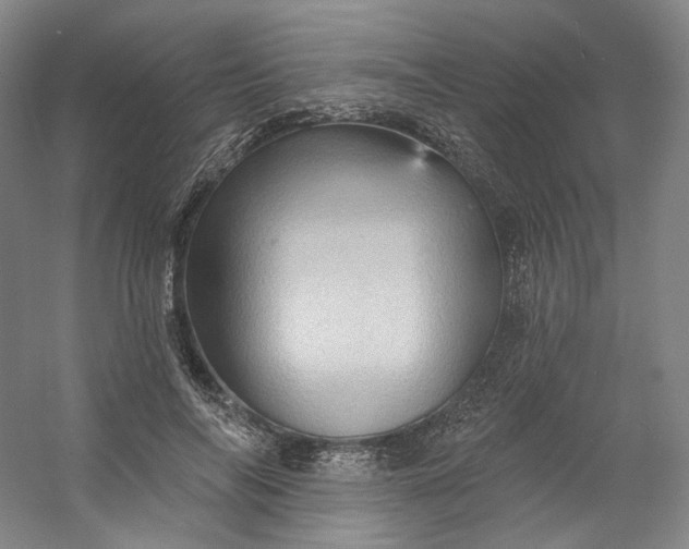 X0000053080694200507251526
