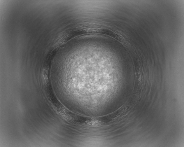 X0000053080695200507251526