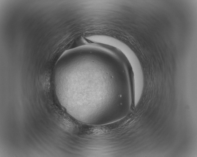 X0000053080697200507251526