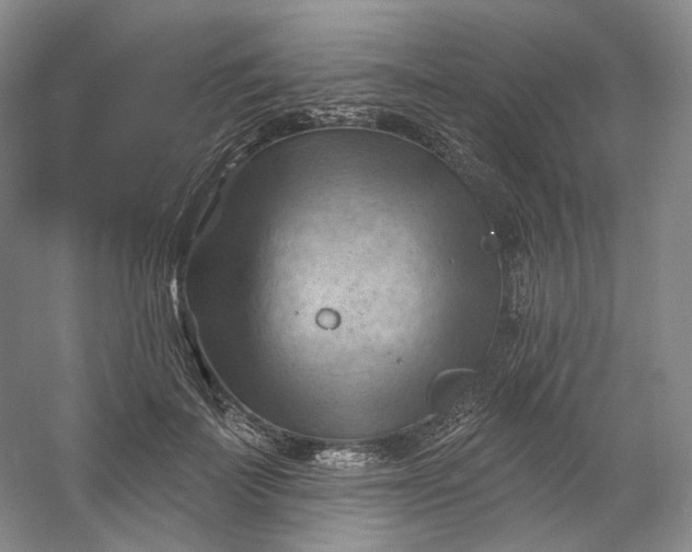 X0000053080699200507251526