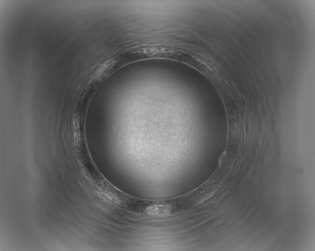 X0000053080700200507251526
