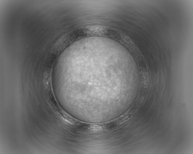 X0000053080701200507251526