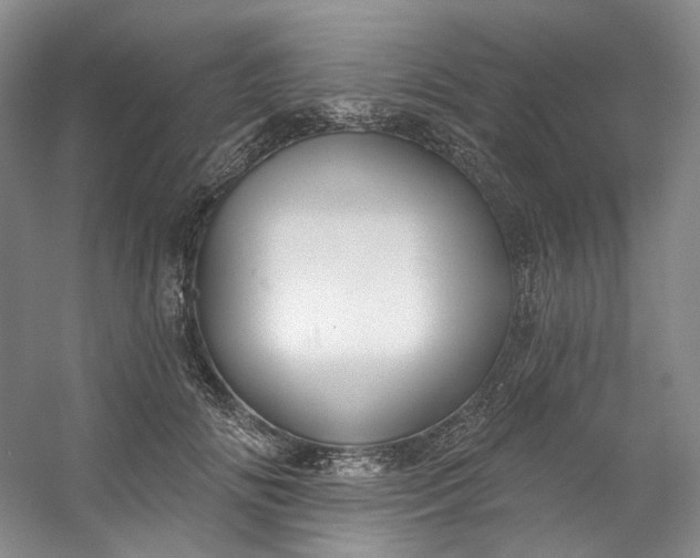 X0000053080702200507251526