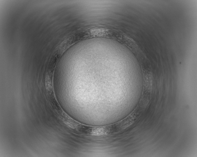 X0000053080705200507251526