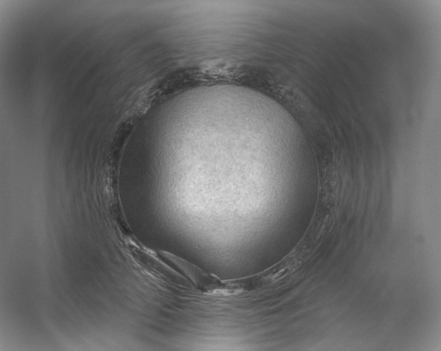 X0000053080706200507251526