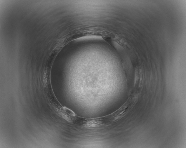 X0000053080708200507251526