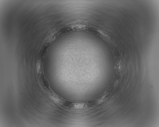 X0000053080709200507251526