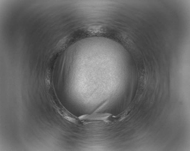 X0000053080710200507251526