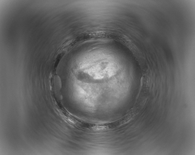 X0000053080711200507251526